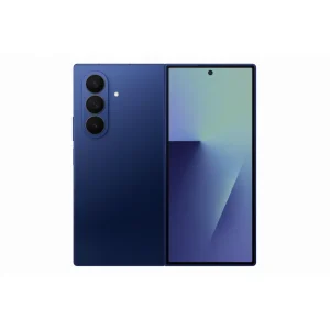 SG-SM-F966BDBHMEA