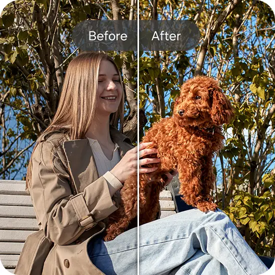 Before and After image of a young woman and her dog sitting on a park bench outdoors on a bright day. The After image has been edited with Edit suggestion on Galaxy A37 5G for improved quality.