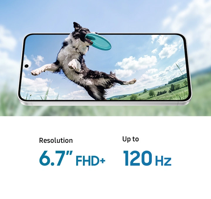 Front view of Galaxy S26 FE in landscape orientation and slightly tilted back. The display shows a dog catching a frisbee midair. The dog's head appears to extend beyond the edge of the screen, while the blurred background continues the image to emphasize the device's immersive display. Resolution 6.7 inch FHD+. Up to 120Hz.